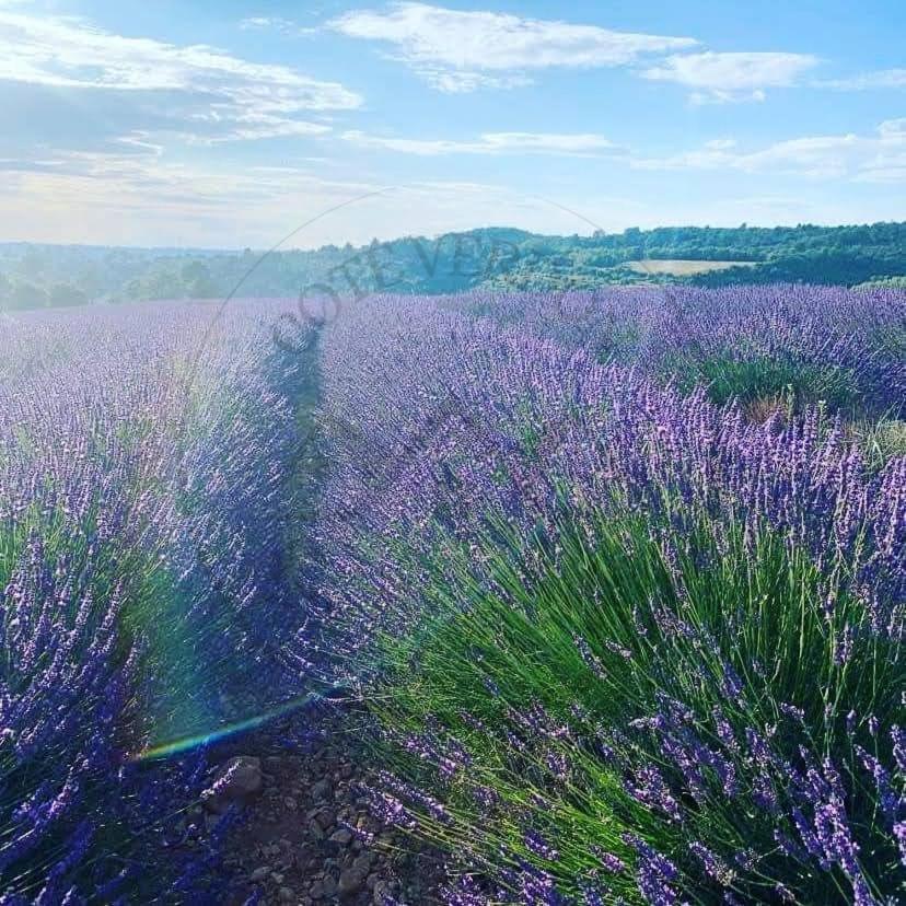 Cote Verdon 2 坎松 外观 照片